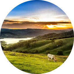 Universal Industry Carousel - Agriculture & Farming